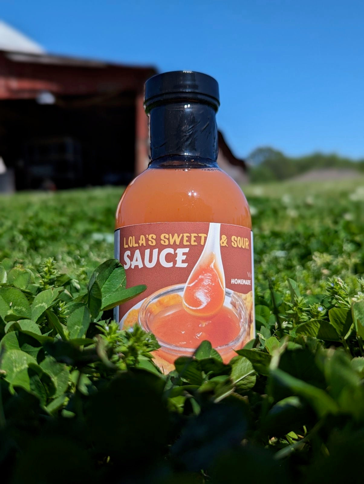 Lola's Sweet and Sour Sauce